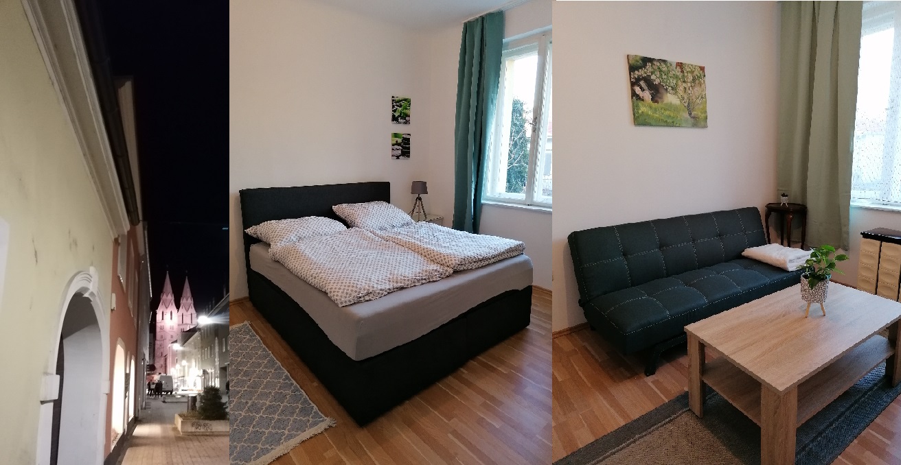 Apartment in the centre of Wiener Neustadt in Wiener Neustadt 2